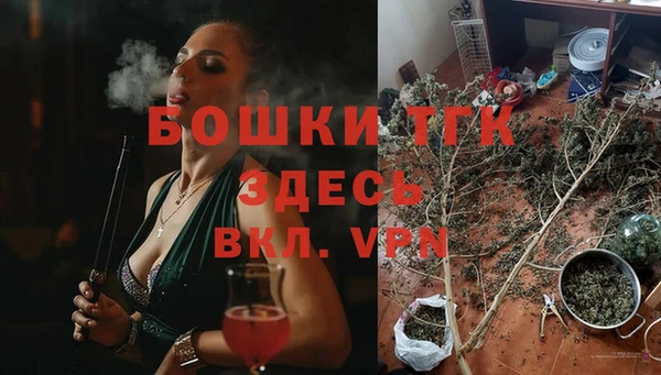 a pvp Белокуриха