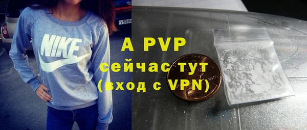 a pvp Белокуриха