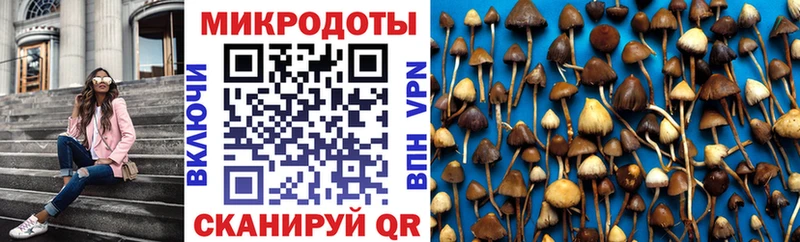 Псилоцибиновые грибы мицелий  Емва 